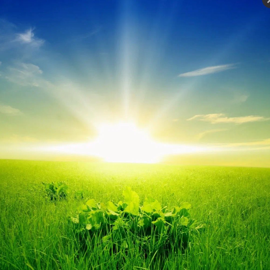 Вольная сила🚀🌟 logo