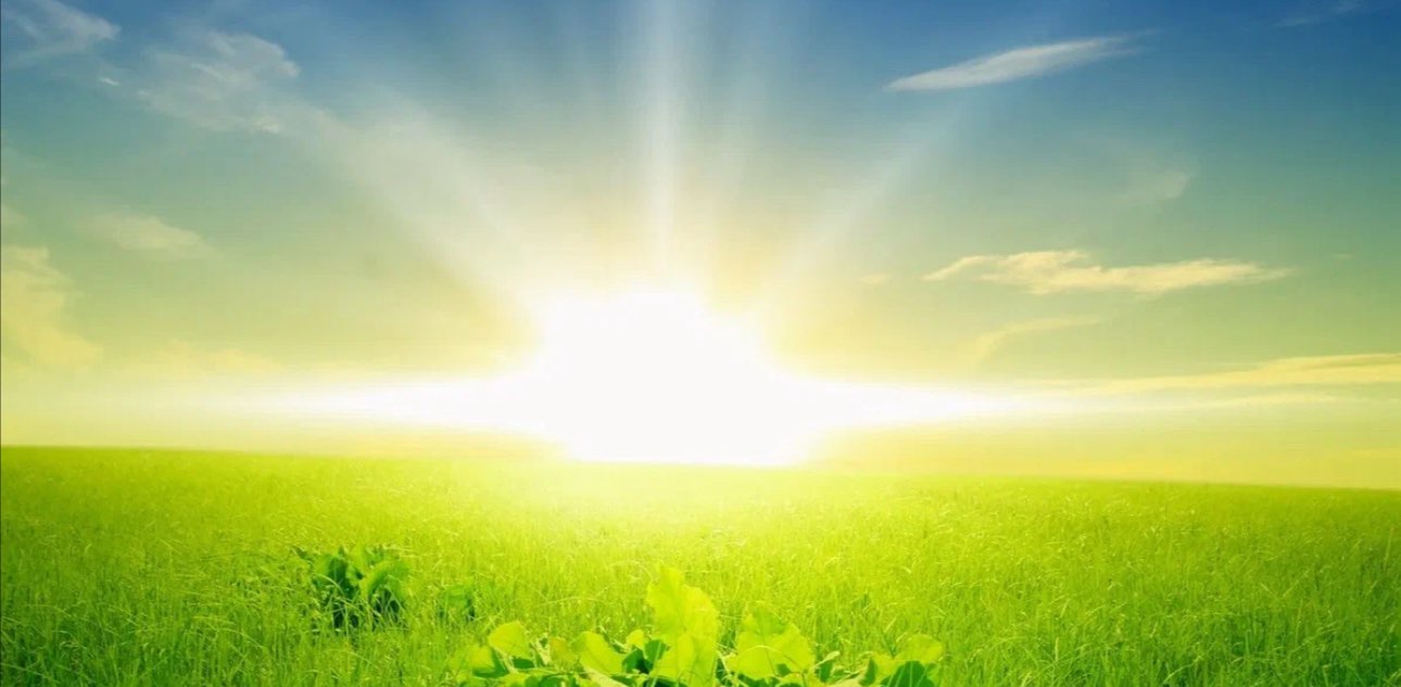 Вольная сила🚀🌟 banner