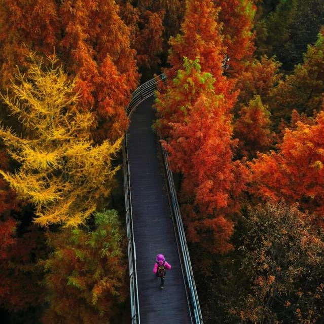 SME Trade Cluster logo