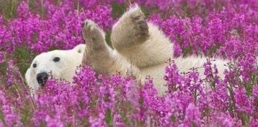 SME Trade Cluster banner