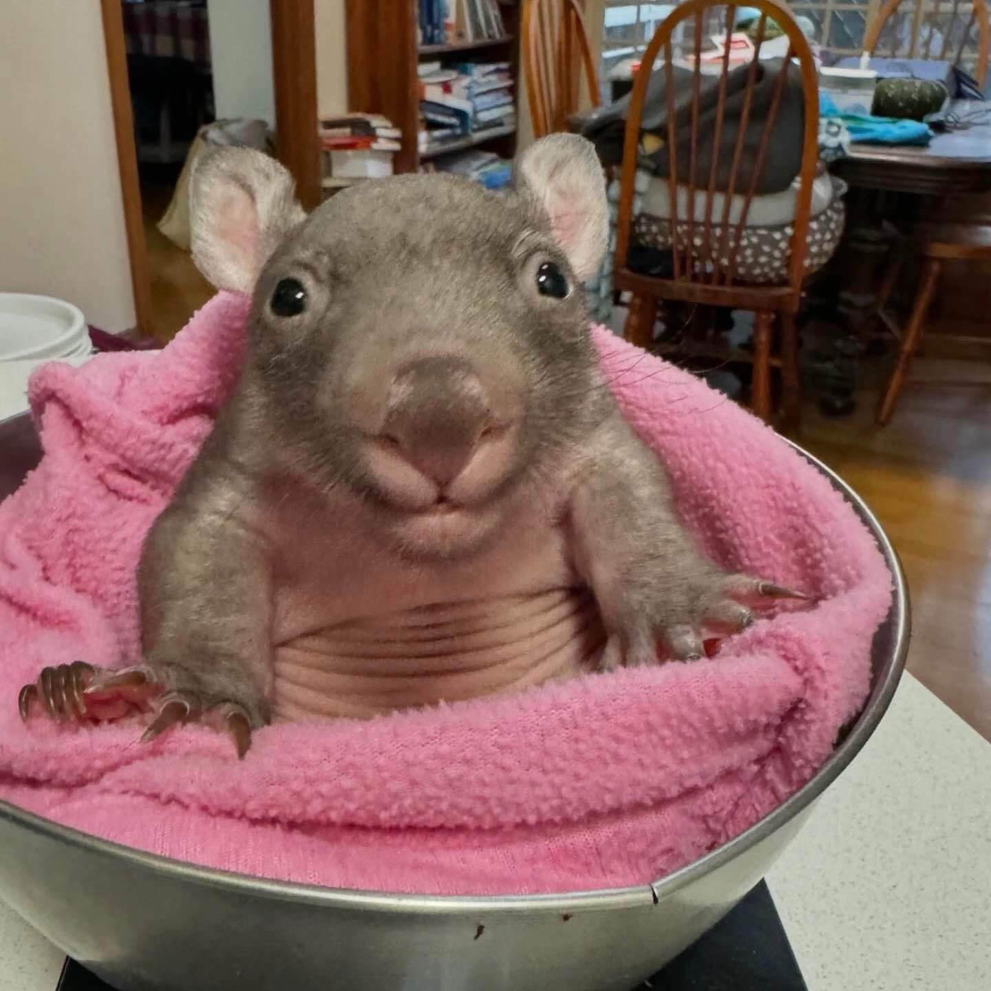 Ходьба👟 logo