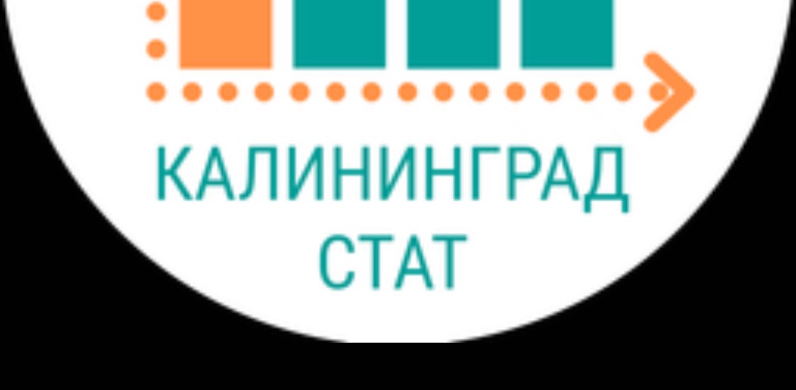 калининградстат banner
