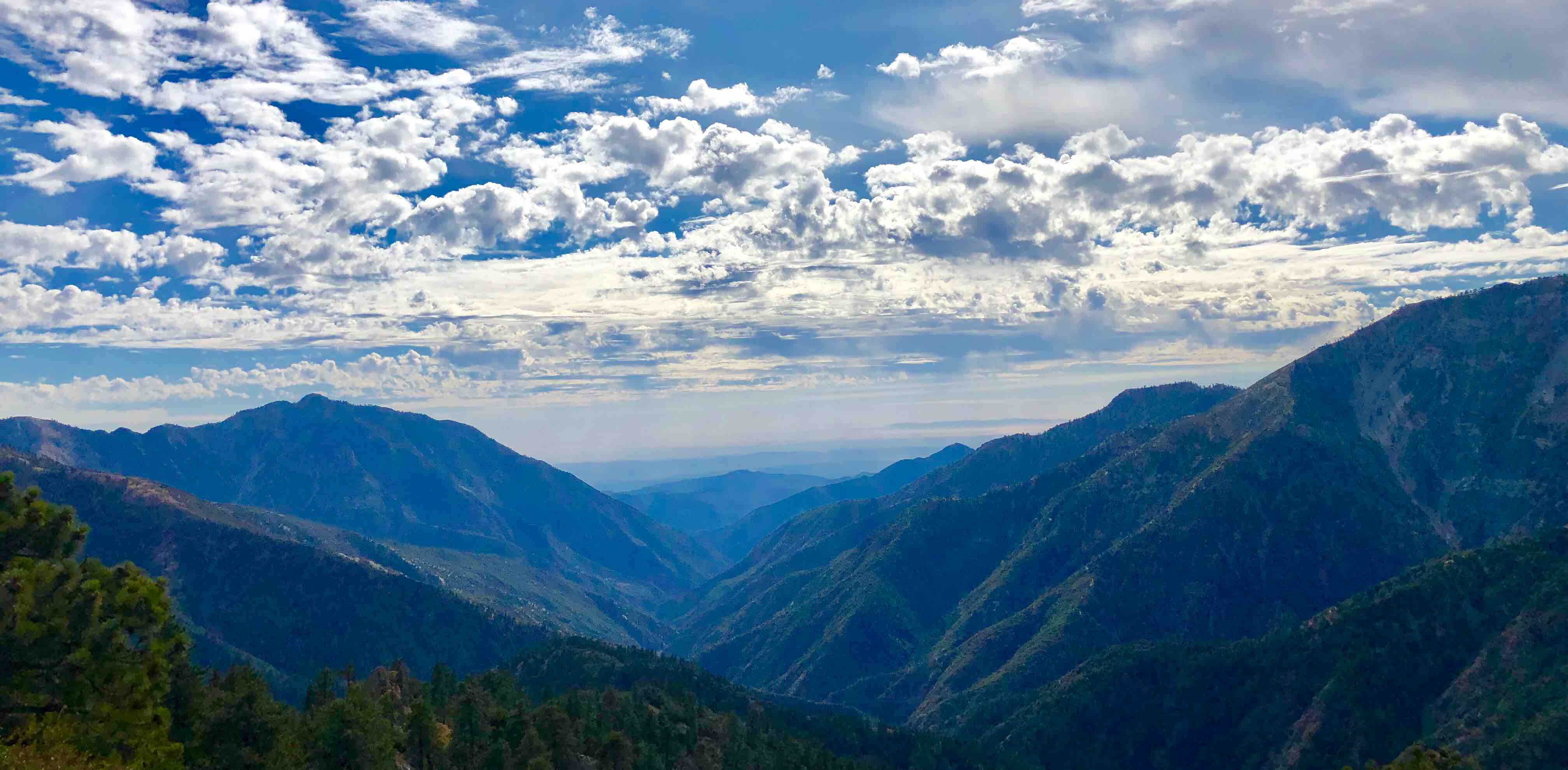 The Johnson Foot Fiesta banner