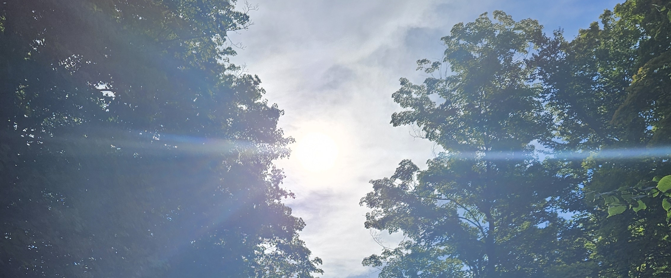 HEALTHY 🍀LIVING banner