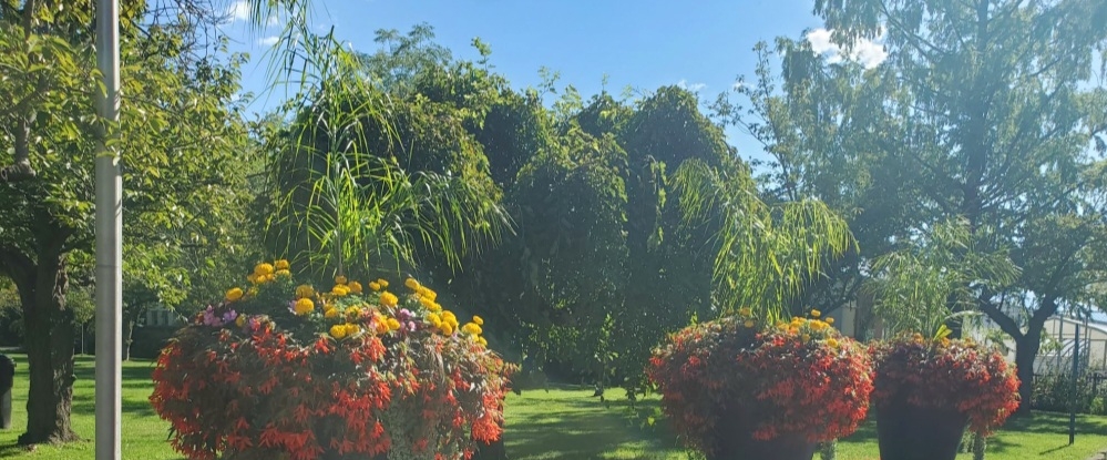 🍏🍏 رشيقات 🍏🍏 banner