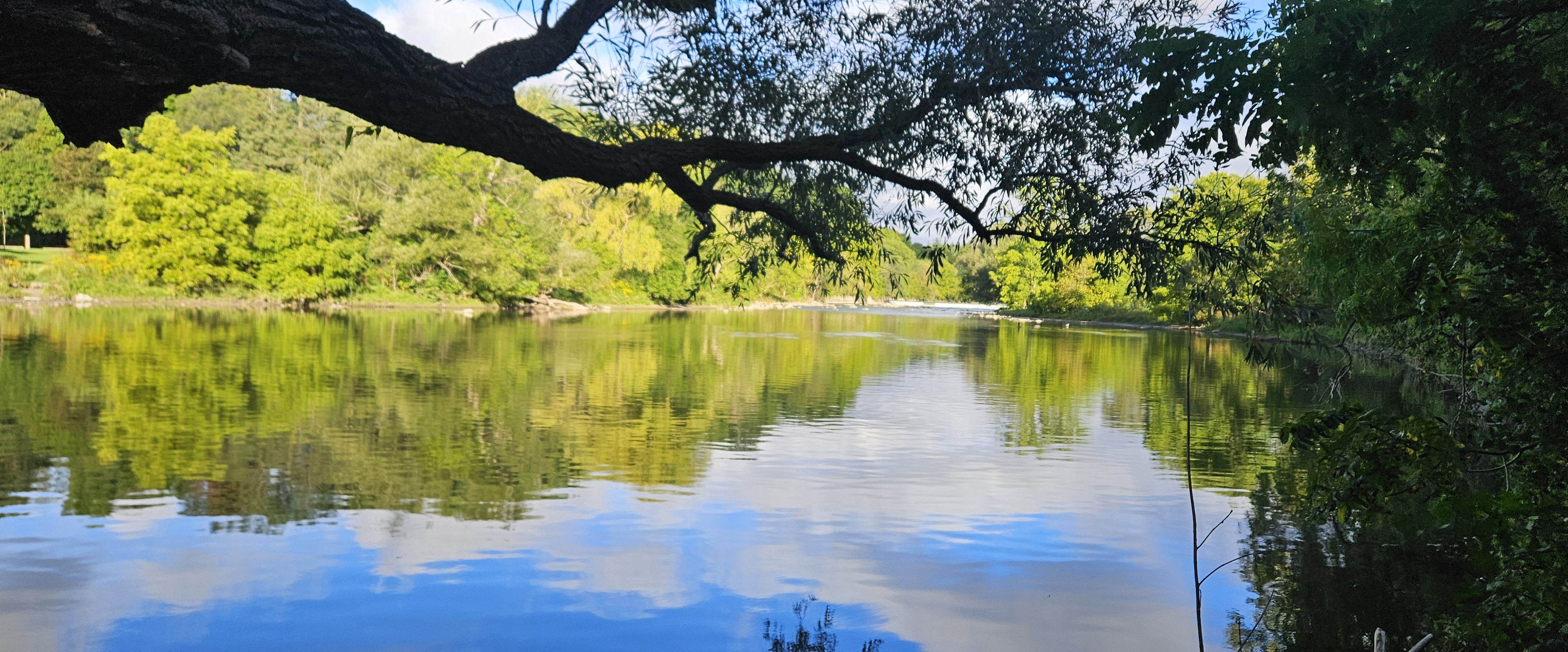 🇨🇦TORONTO  PACERS🇨🇦 banner