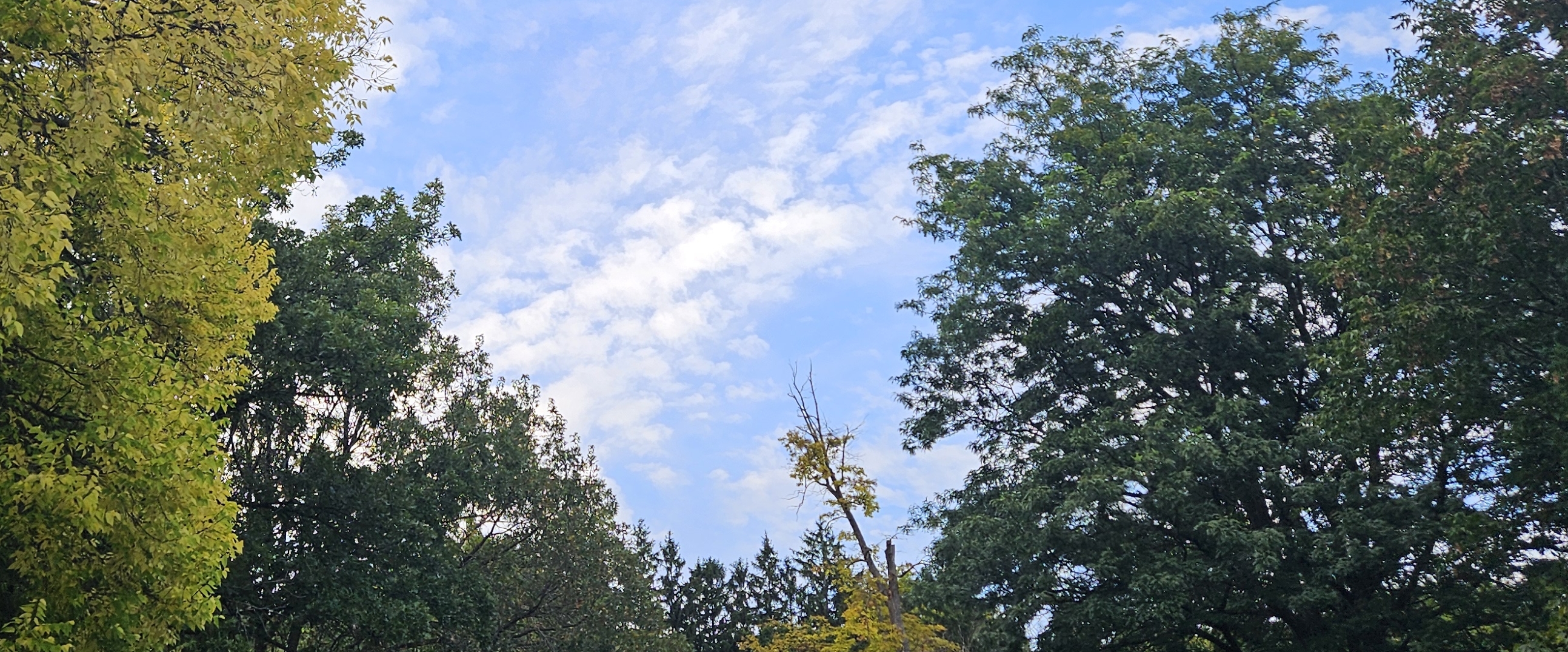 🇶🇦 QATAR WALKERS 🇶🇦 banner
