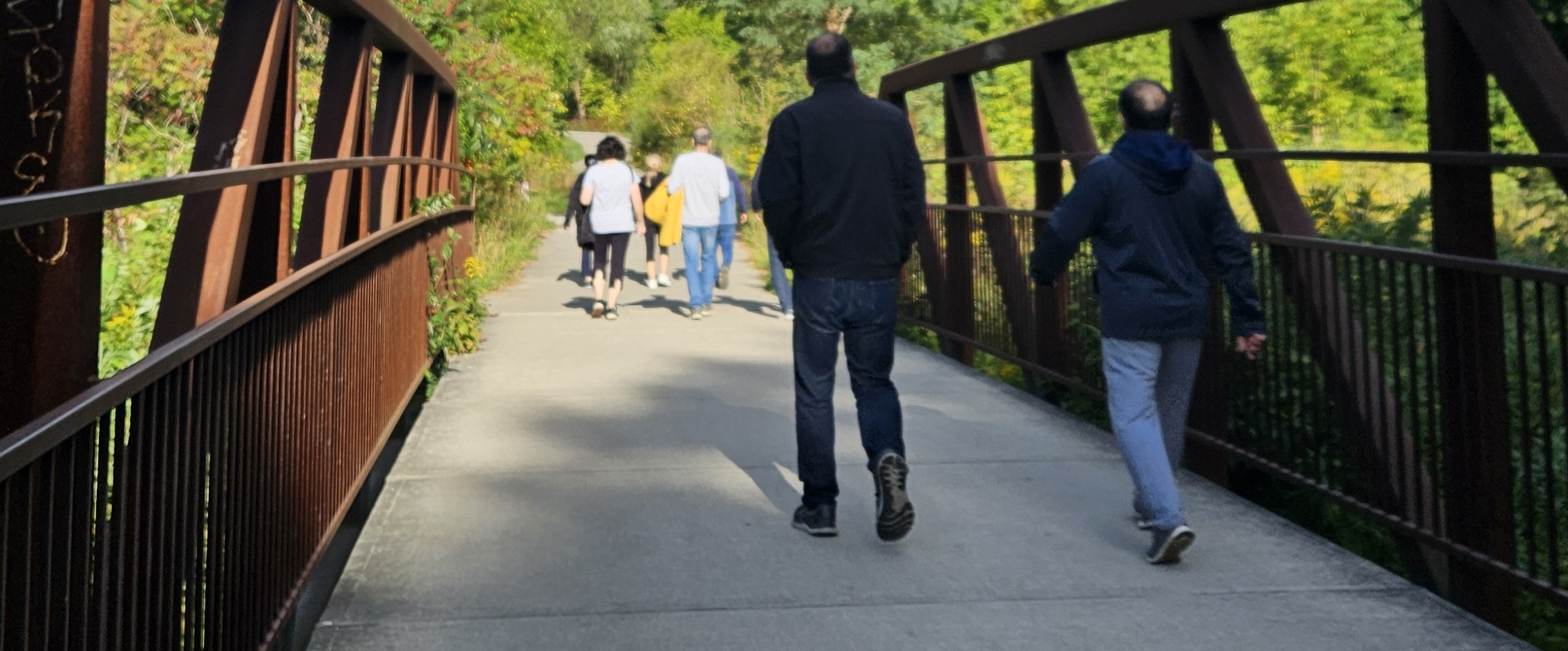 🌾EVERY DAY WALKS🌾 banner