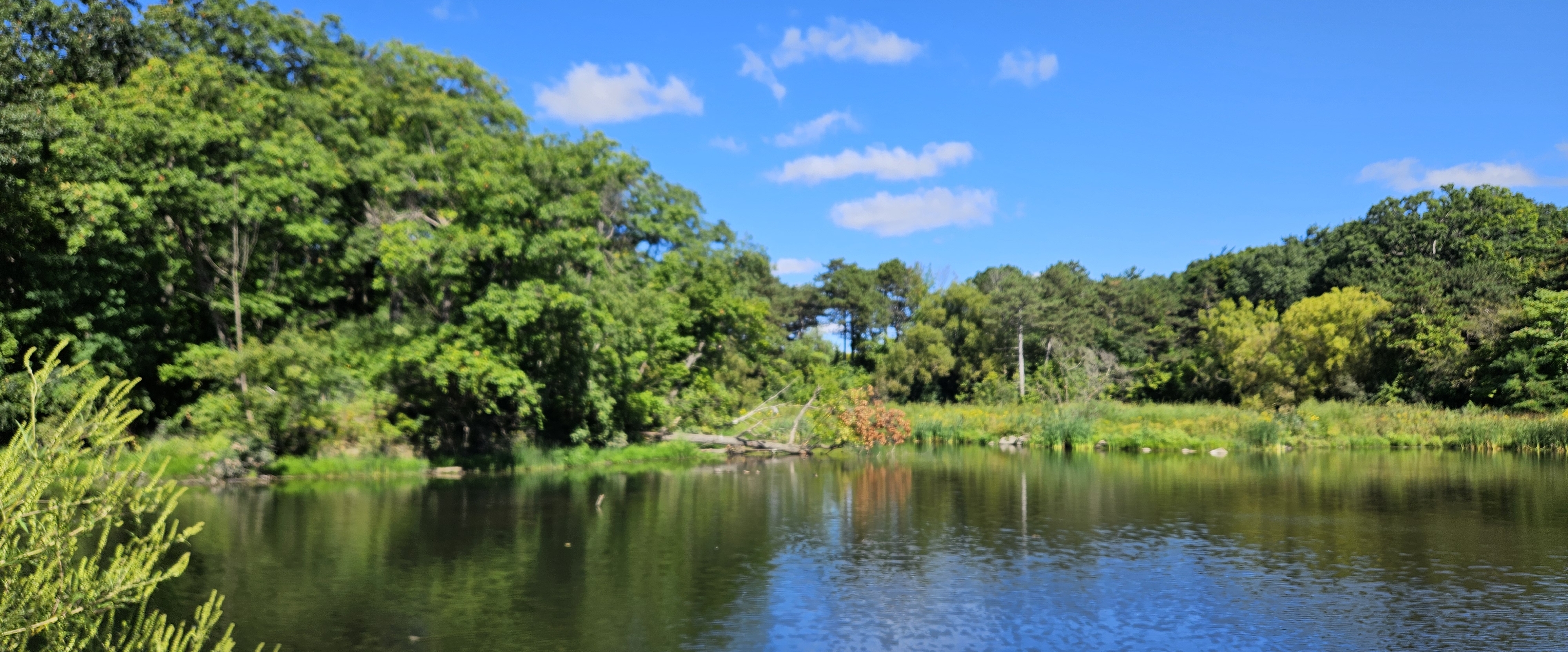 🍂BEAUTIFUL AUTUMN🍂 banner