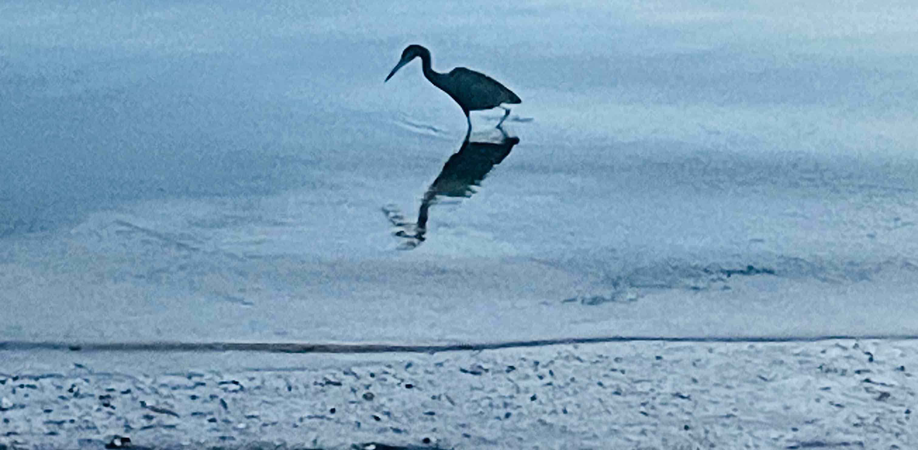 We can do it! banner