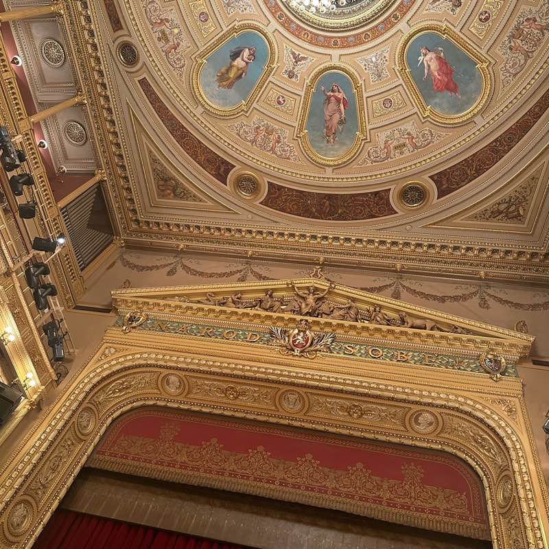 Dream team by Vevas logo