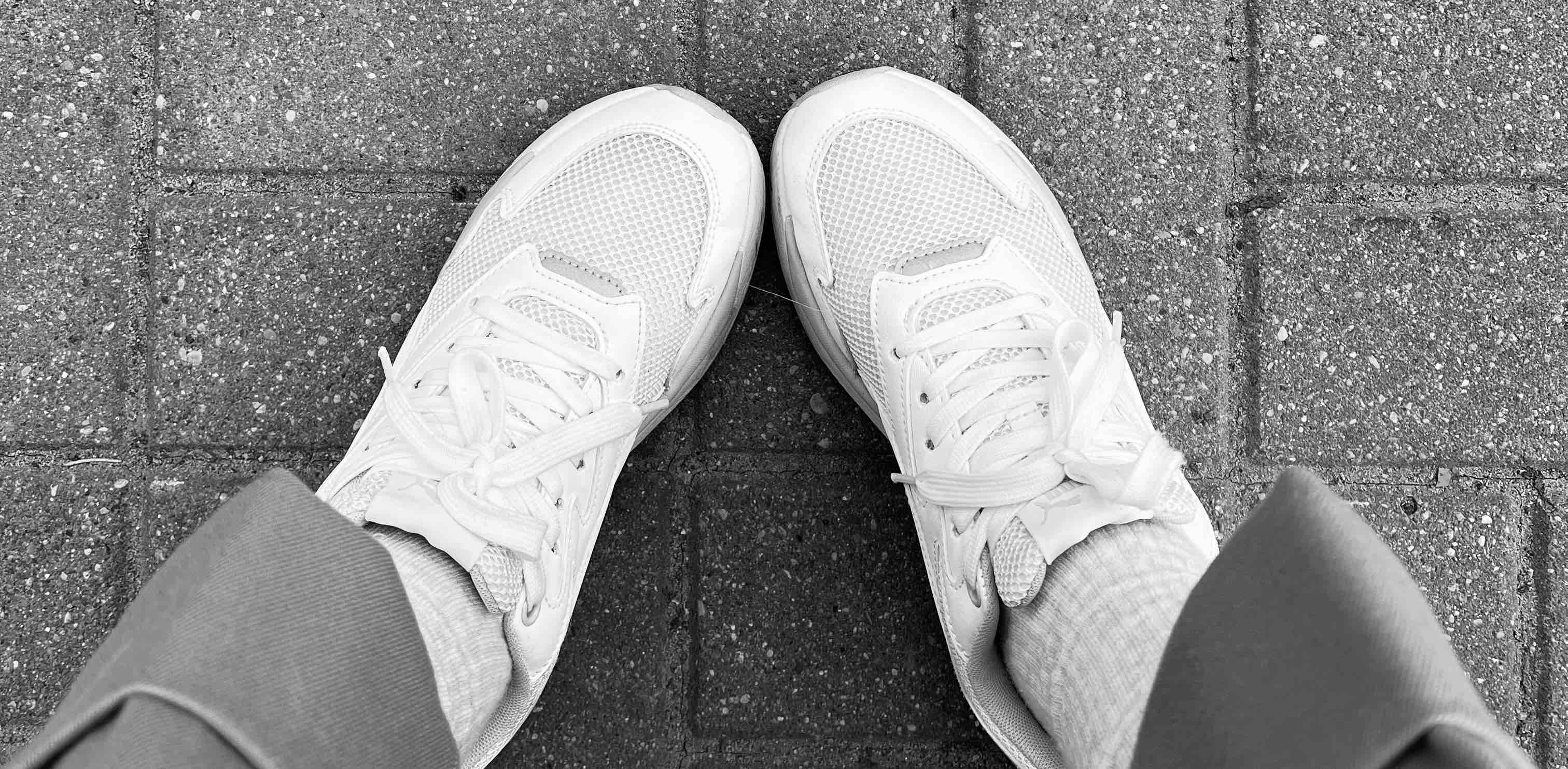 Шагаем вместе banner