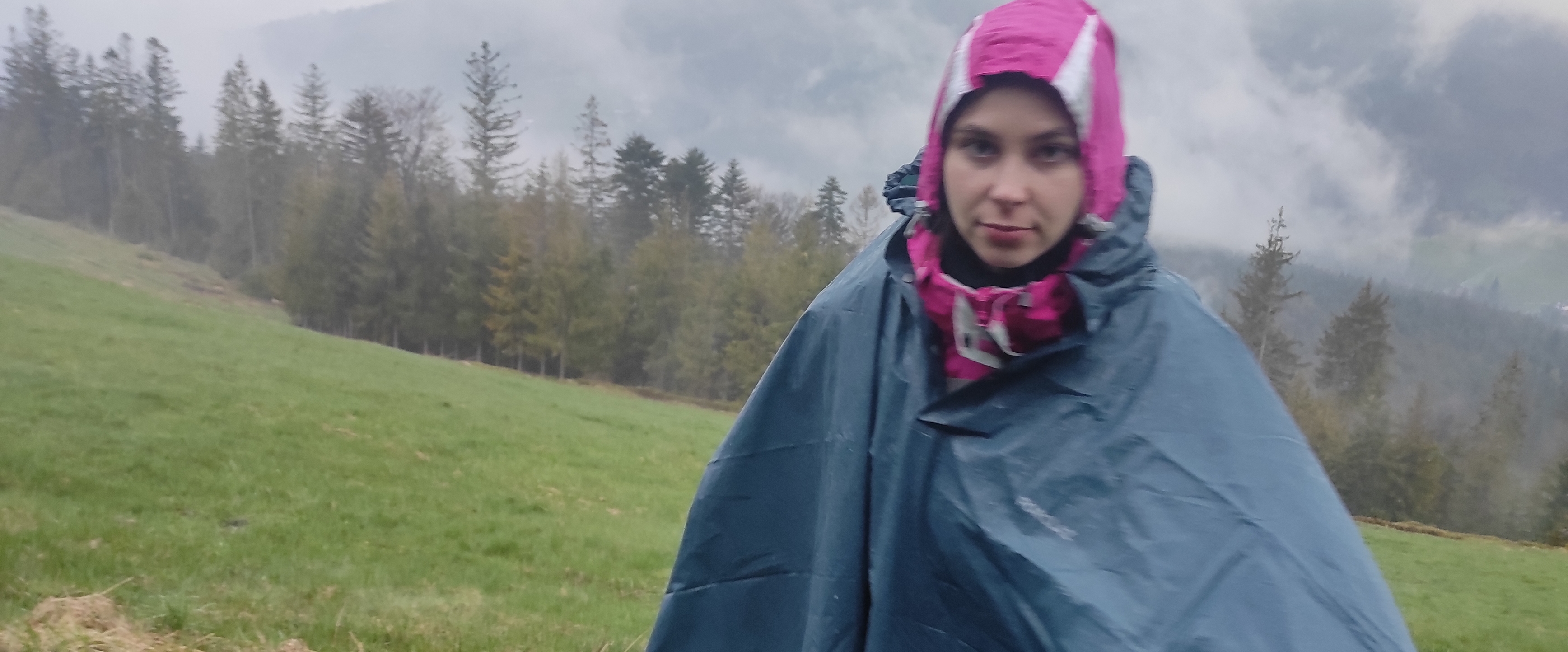 Szybcy i dzicy 🐗 banner