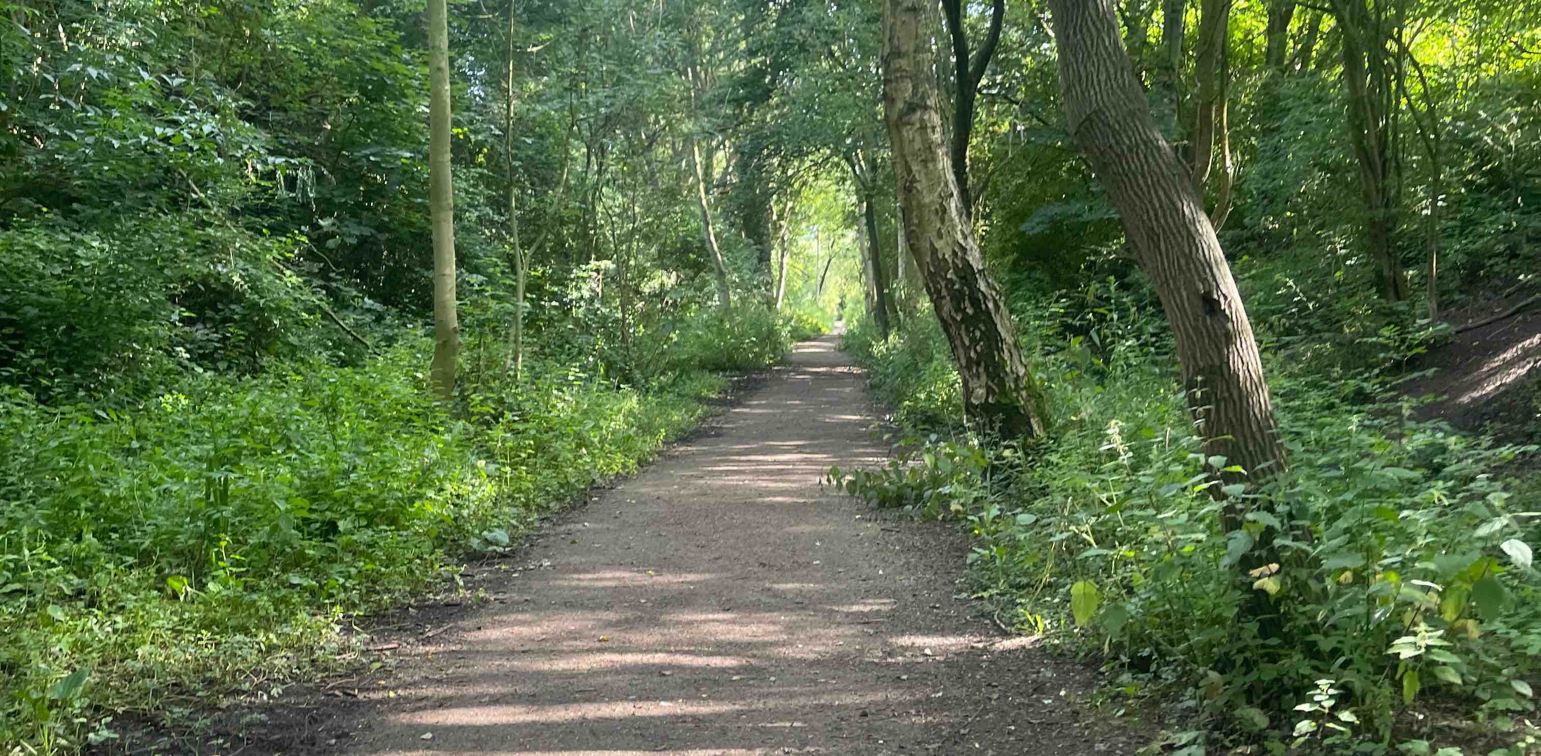 OWO & Friends banner