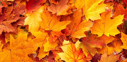 Pasitos Tun-Tun banner