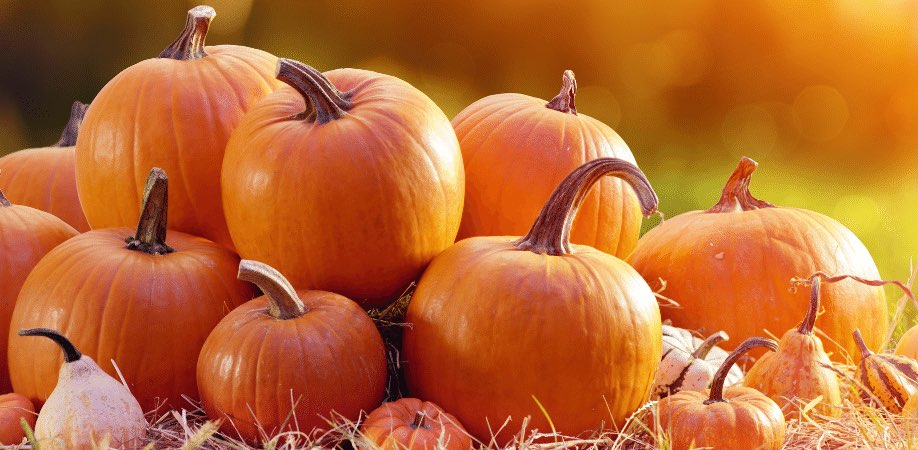 Plano Step Challenge banner