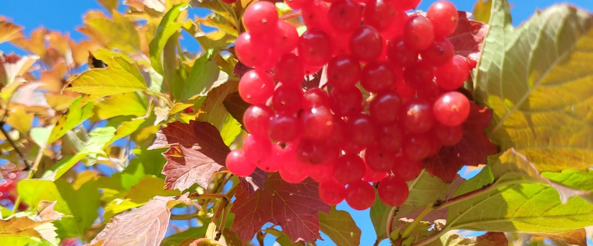 🚶♂️Идём всегда вперёд🚶♂️ banner