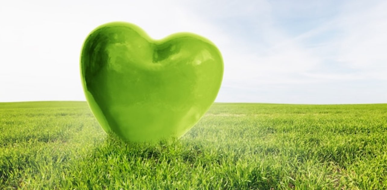 Het groene 💚 van Nederland banner