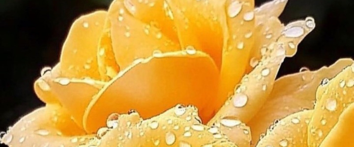 POWER PLAYERS TOGETHER WE CAN banner