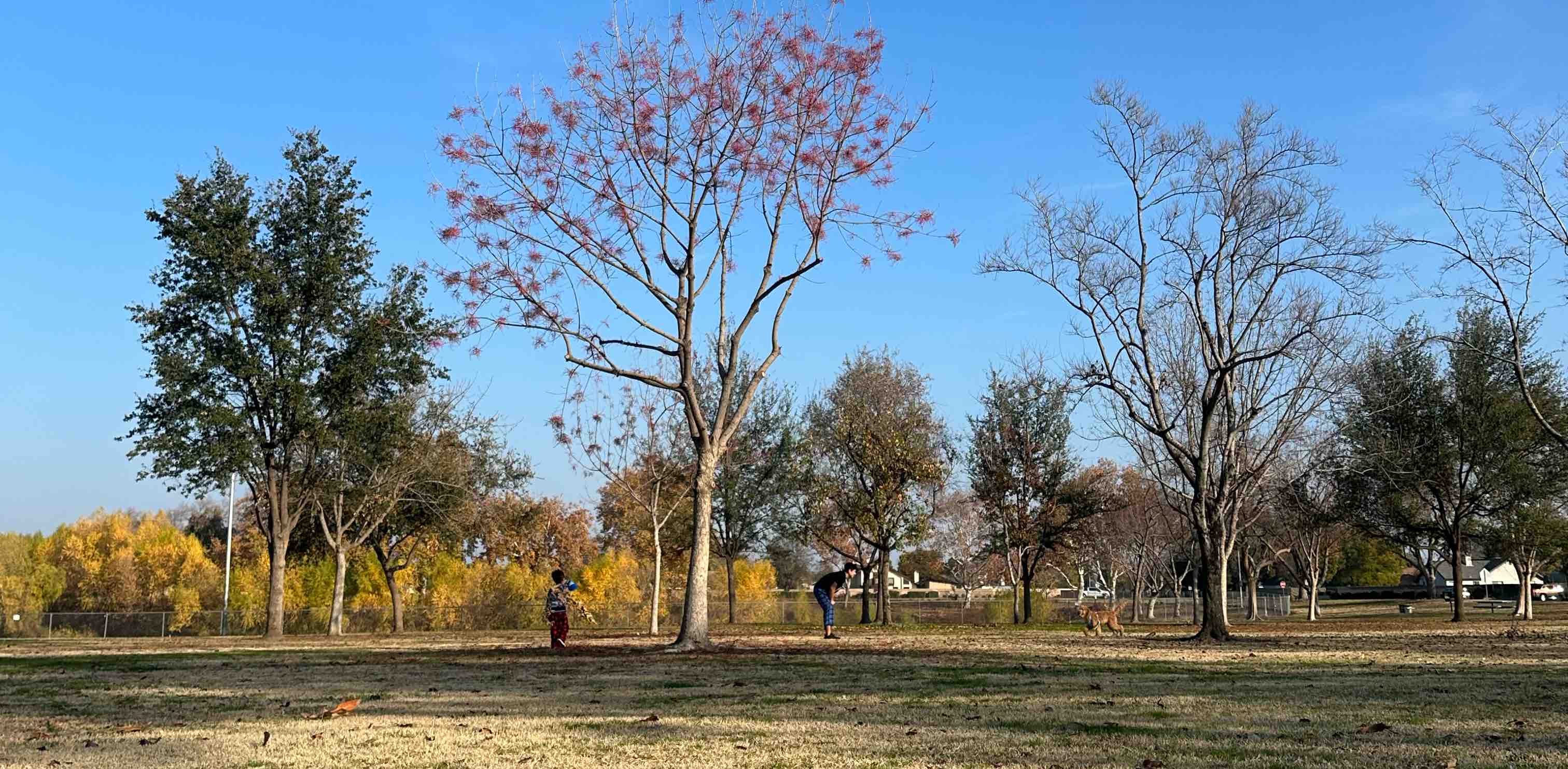 Hot Friends Walk banner