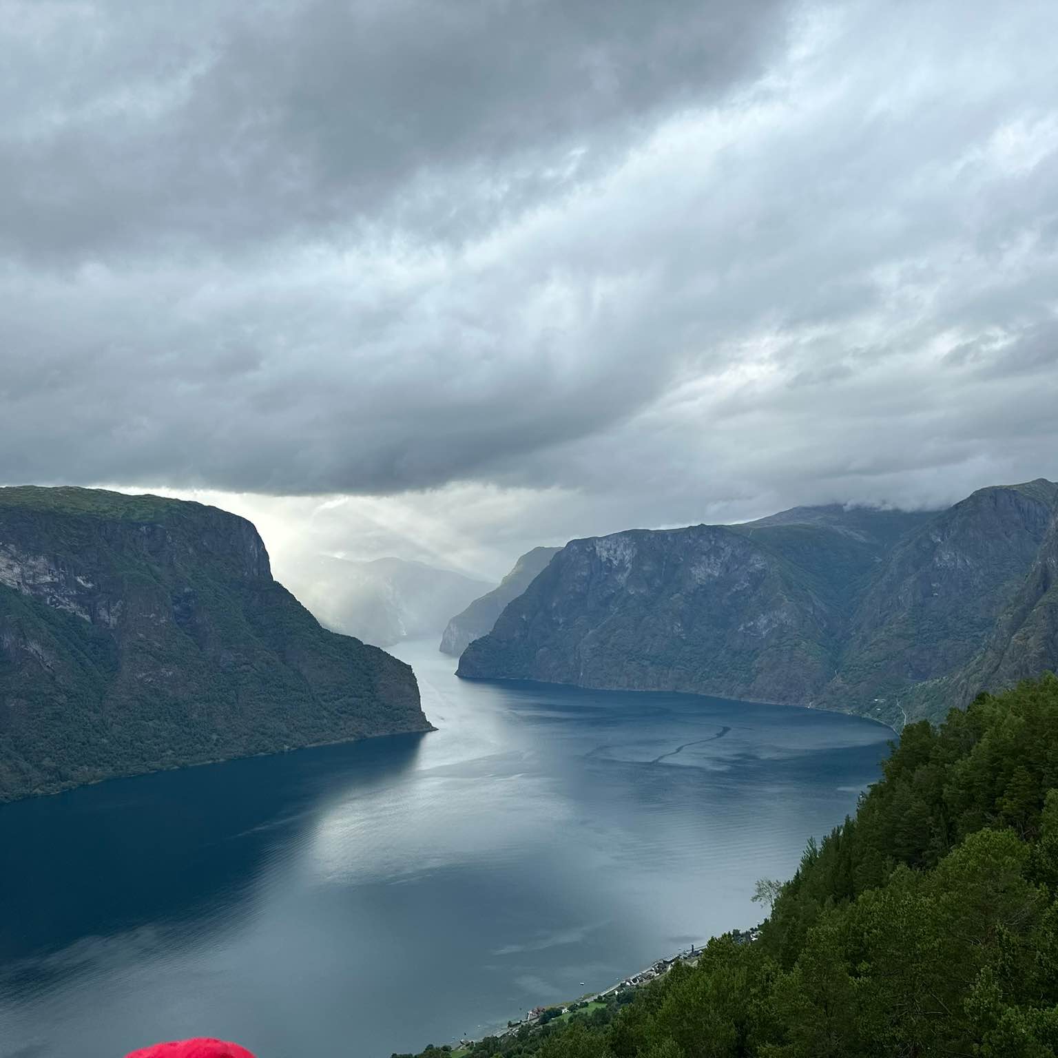 Walk 10000 Steps every day logo