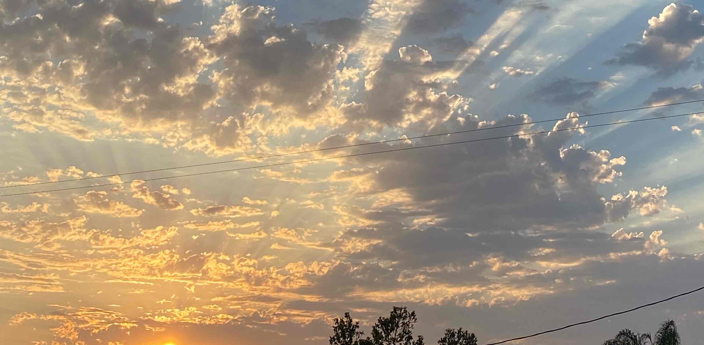 The Step Sisters banner