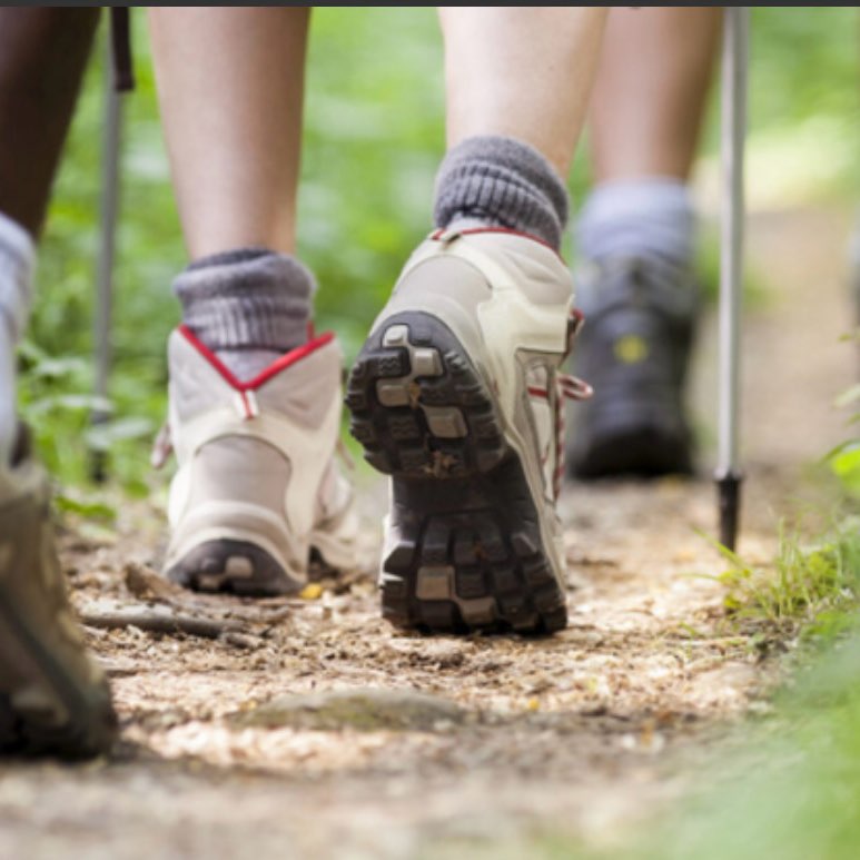 Daily Striders Club logo