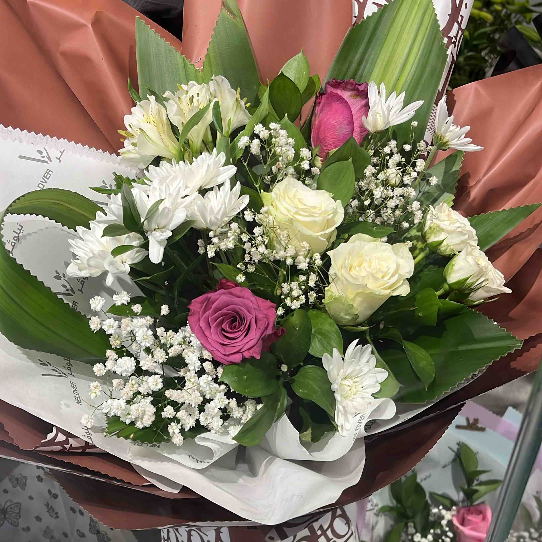 عائلة منصور الرائعة logo