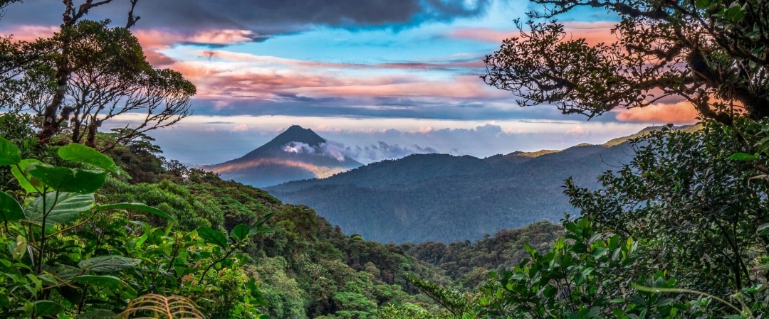 🎉Wellness 2025🎉 banner