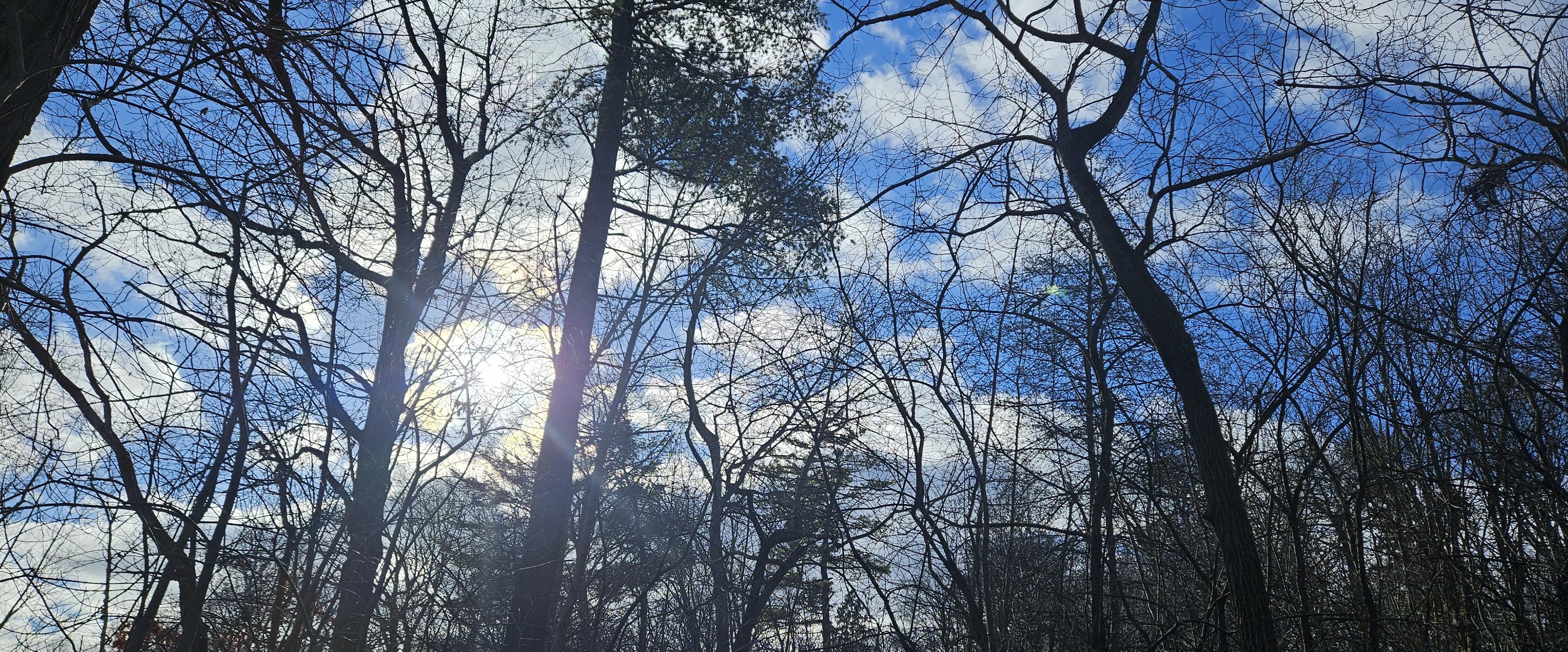 🥰LET'S GO 🥰 banner