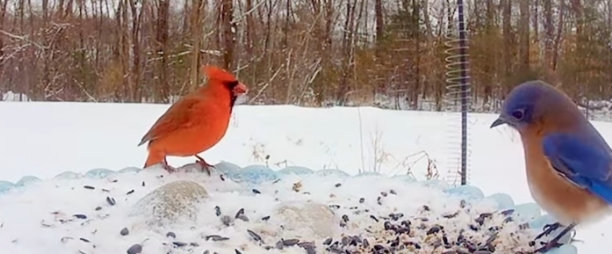 🎉HAPPY 2025🎉 banner