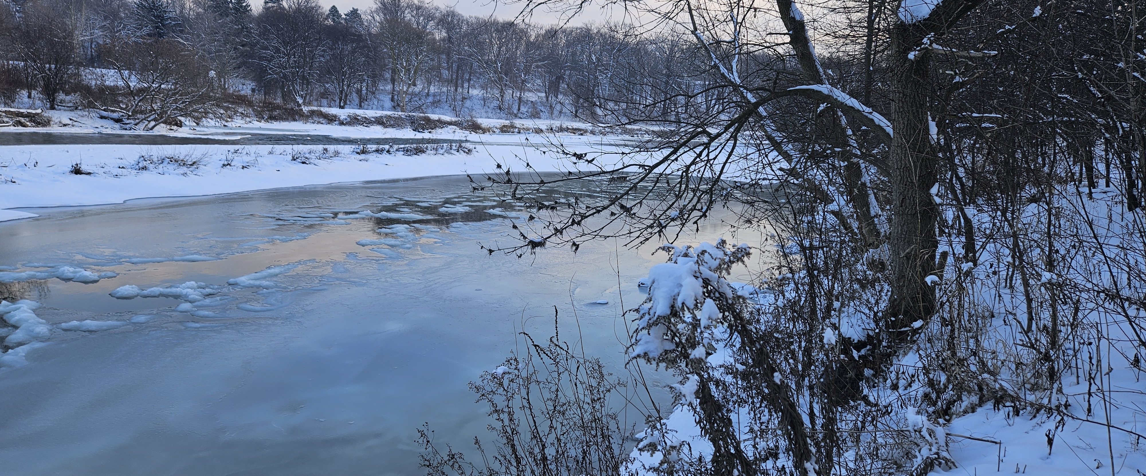 🧡💛Stellantis 💛🧡 banner