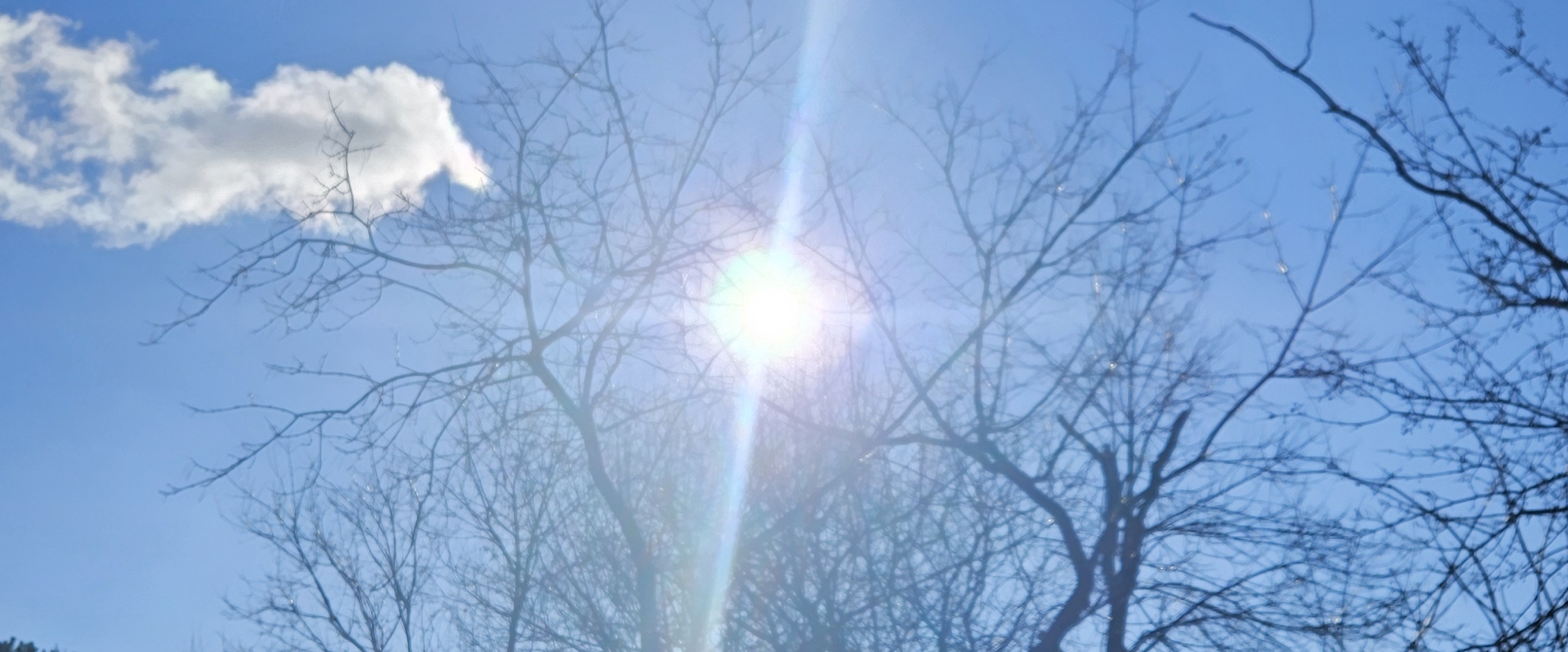 Come Let's Challenge 💪 banner