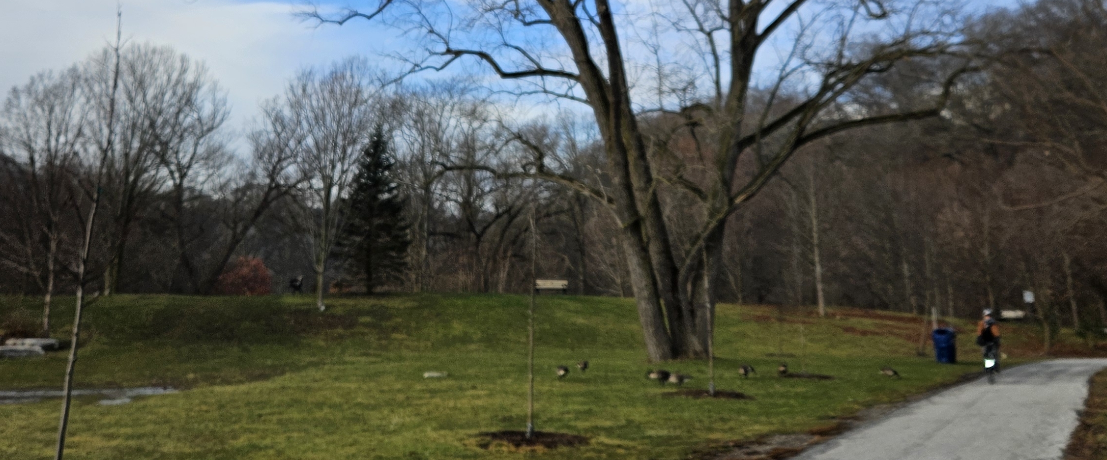 технология жизни banner