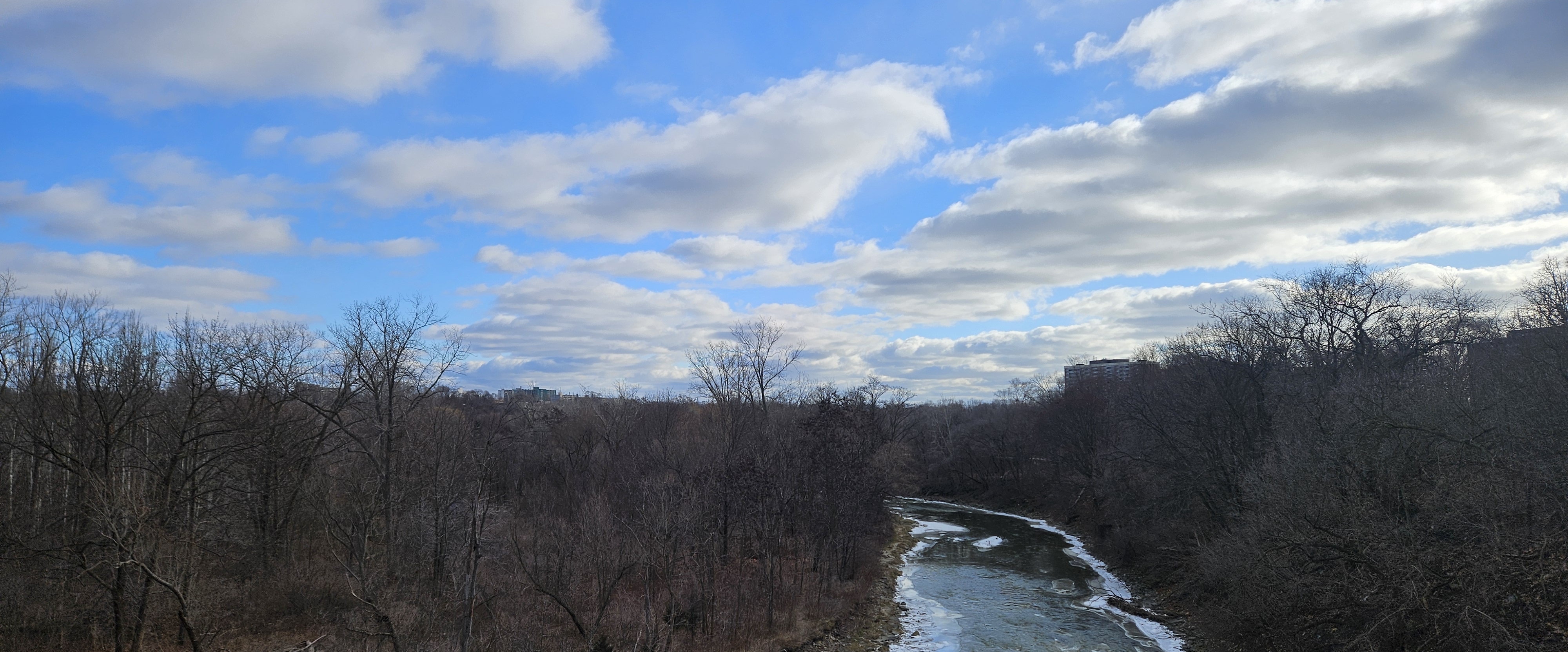 Walk-for-a-cause banner