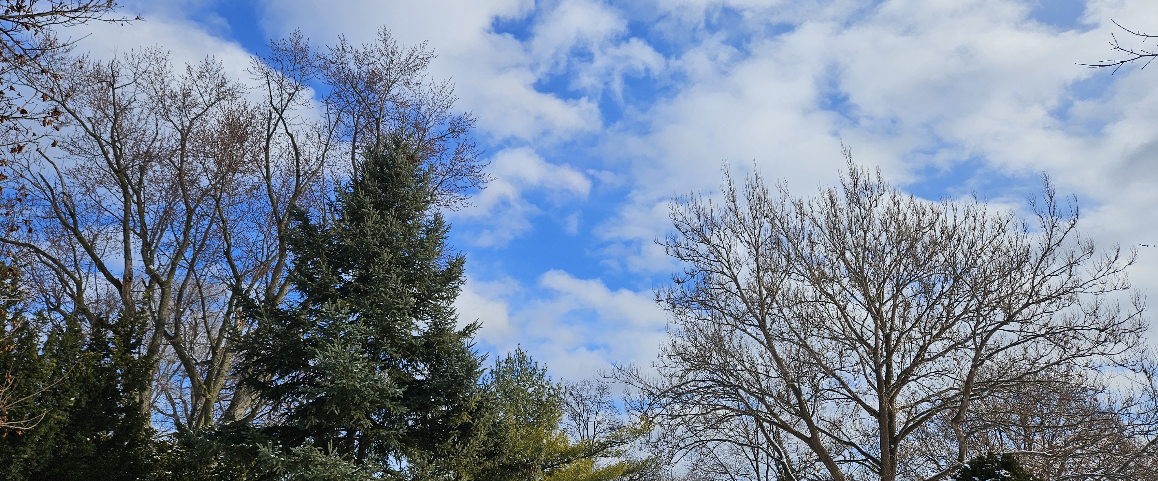 💖SUPER STEPS💖 banner