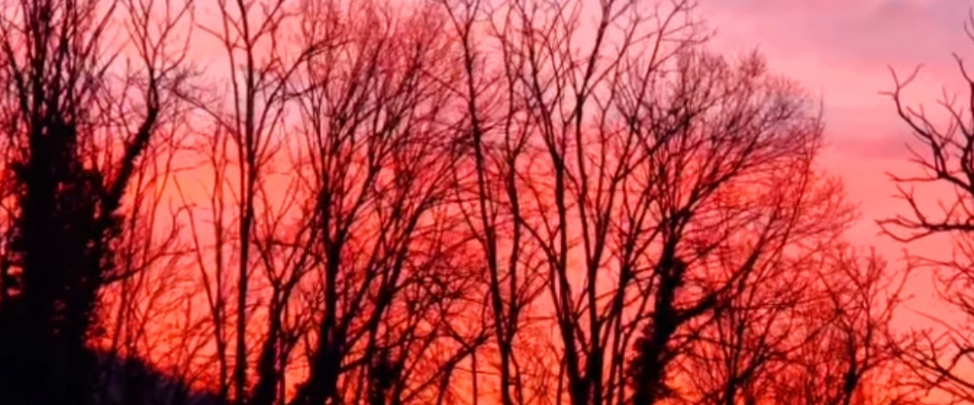 ☕️HAPPY WALKERS☕️ banner