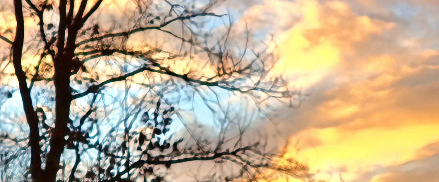 Люблю ходить, много и быстро banner