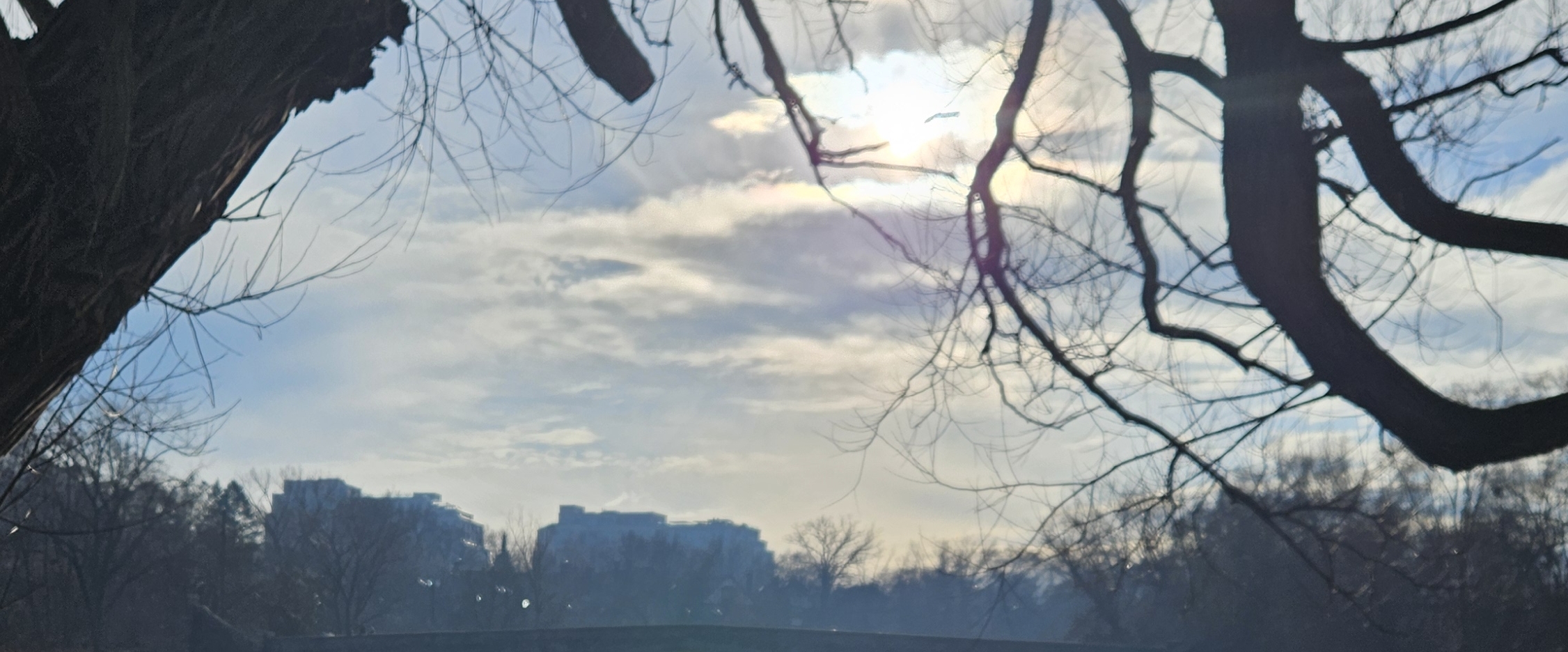 서울도시과학기술고 banner