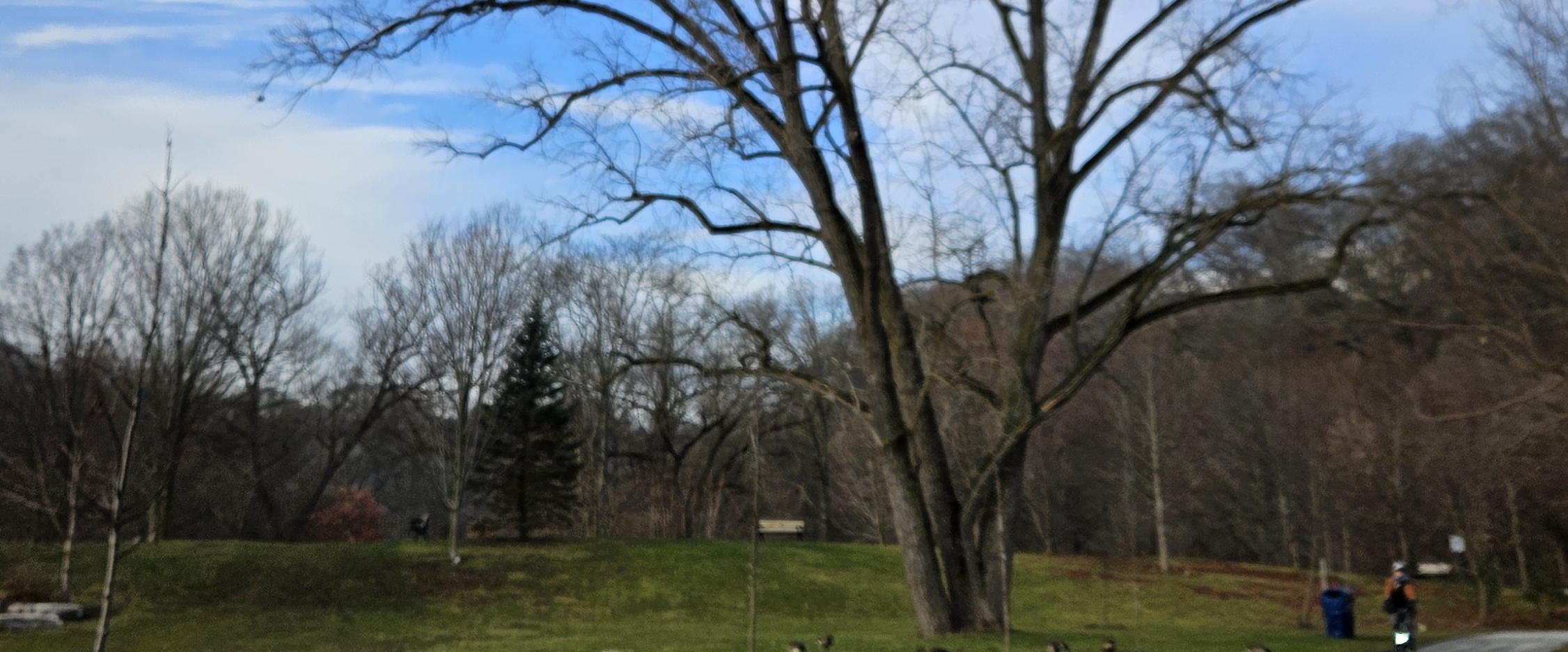 DCX Sherbrooke banner