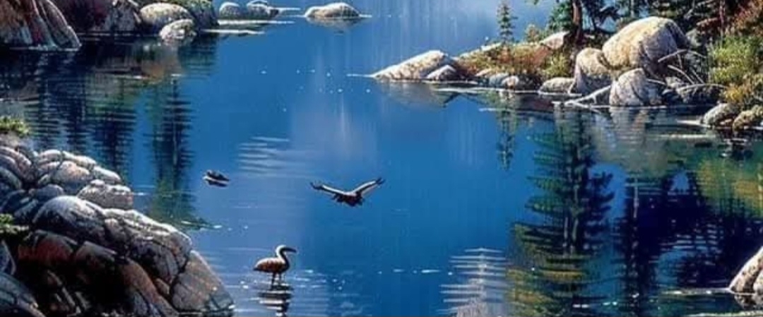 🌹NATURE  WALKS🌹 banner