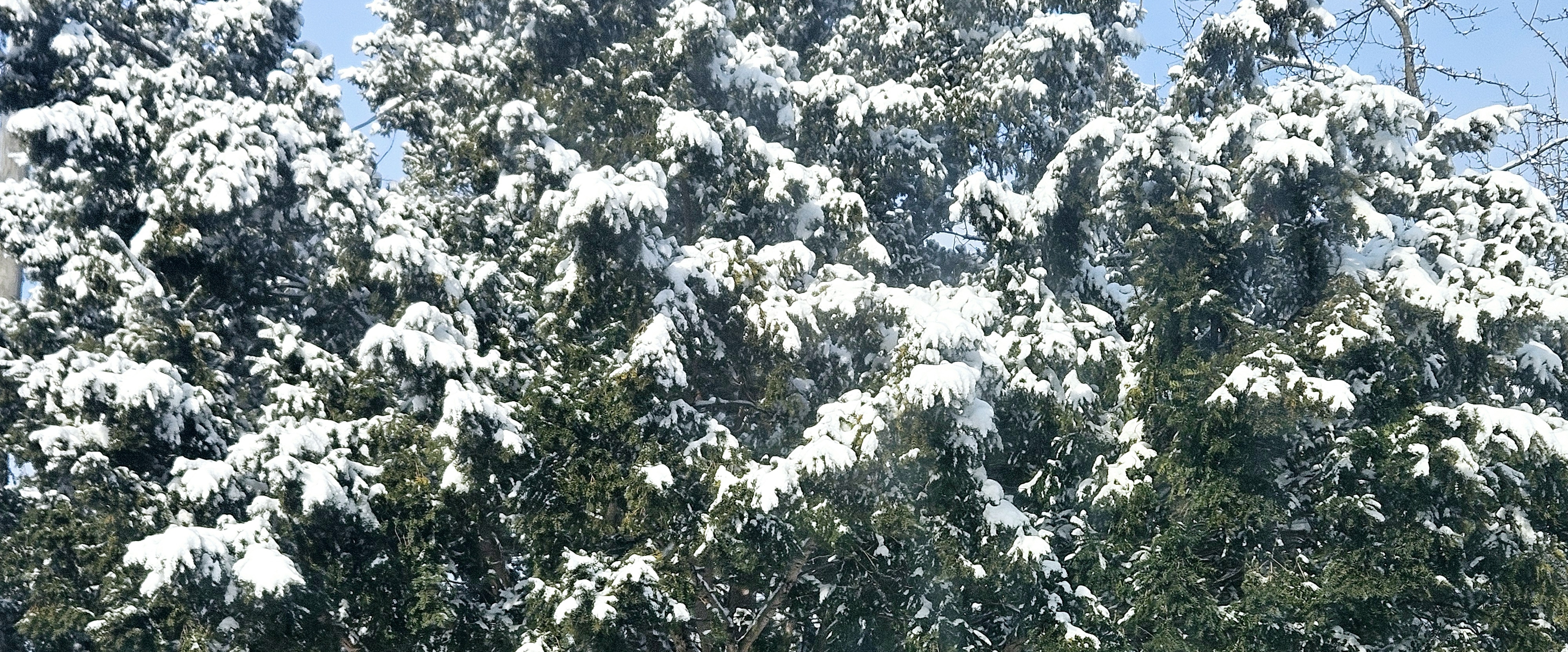 Kerridge Walking Challenge banner