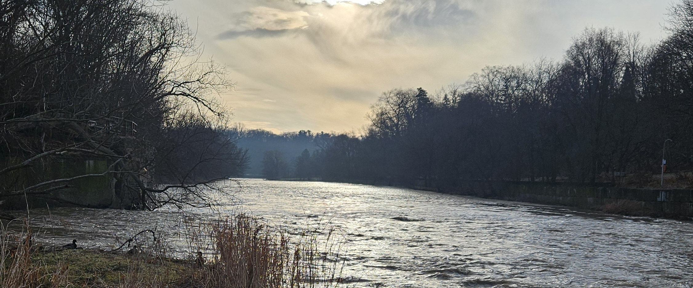 Завтра будет лучше banner