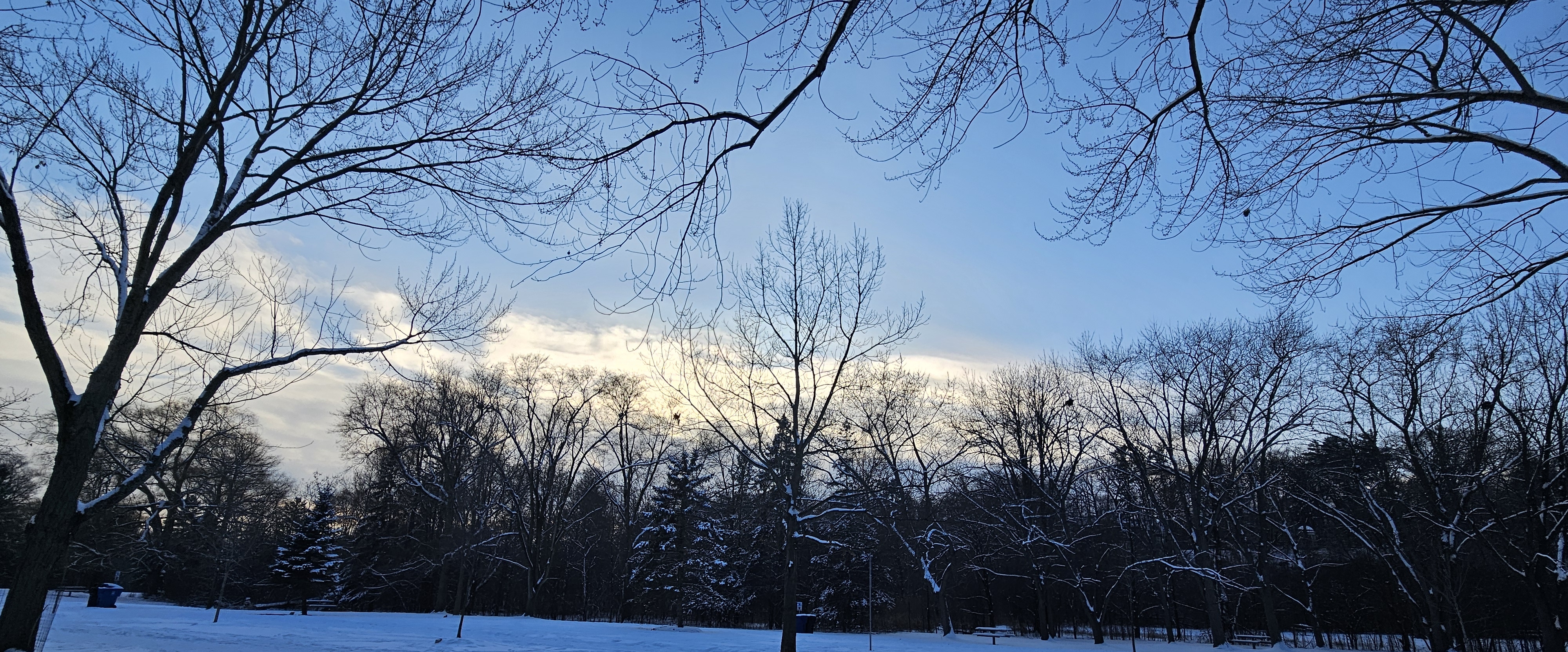 Diplomat Walking Challenge banner