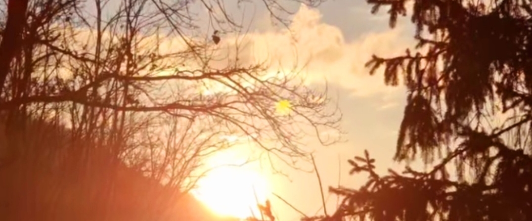 😊NATURE WALKS 😊 banner