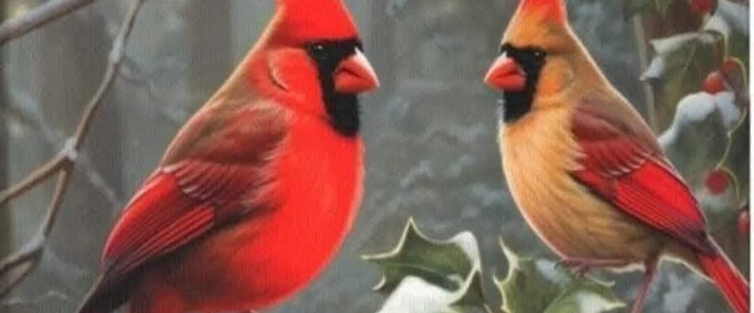 💗FEBRUARY💗 banner