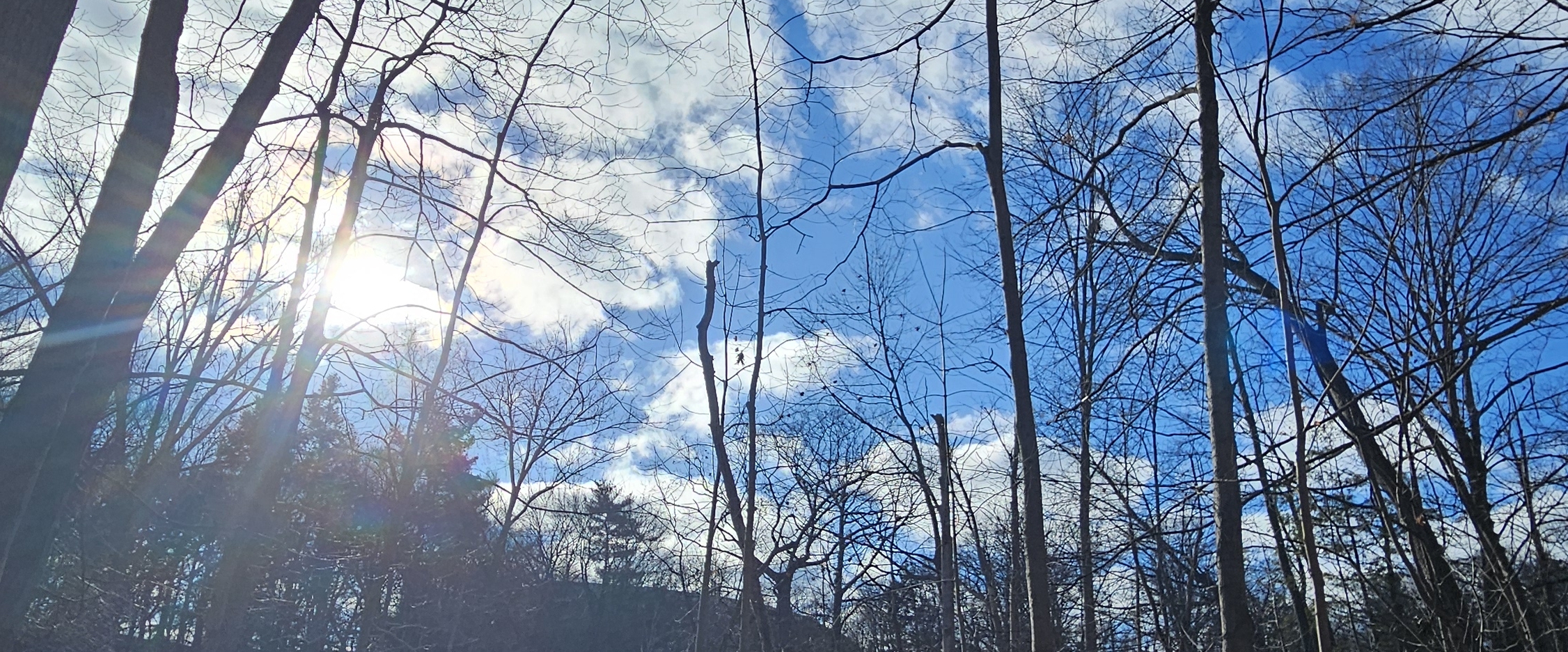 😊Fun walks 😊 banner