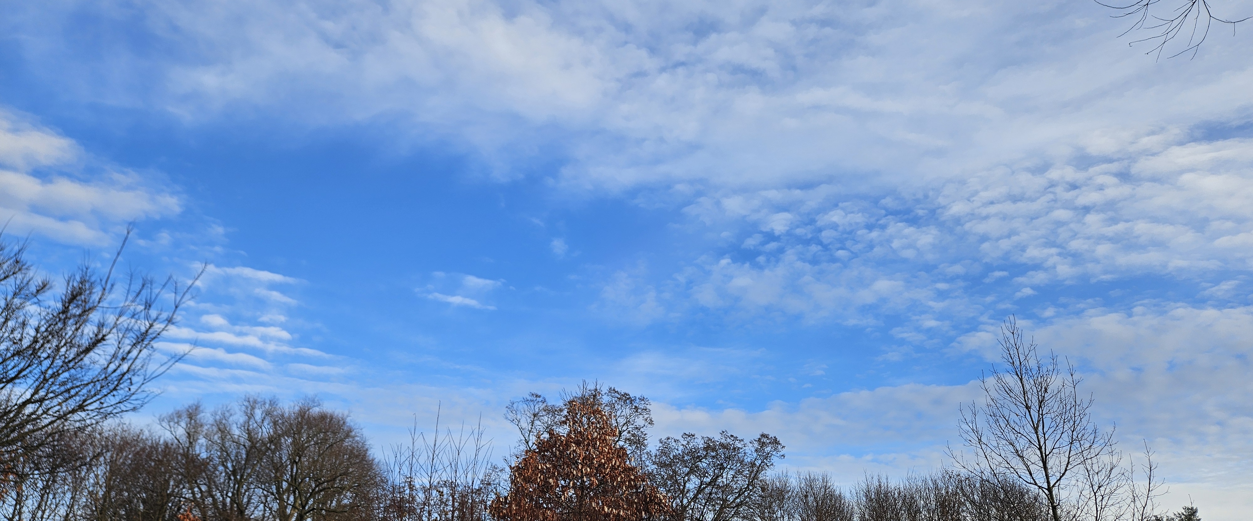 STEPPING INTO 2025 banner