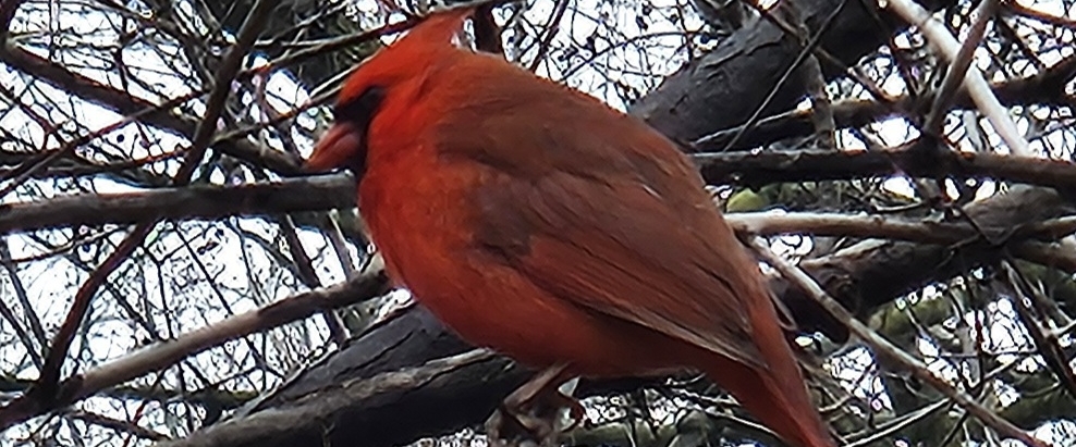 🌇 SUNSETS🌇 banner