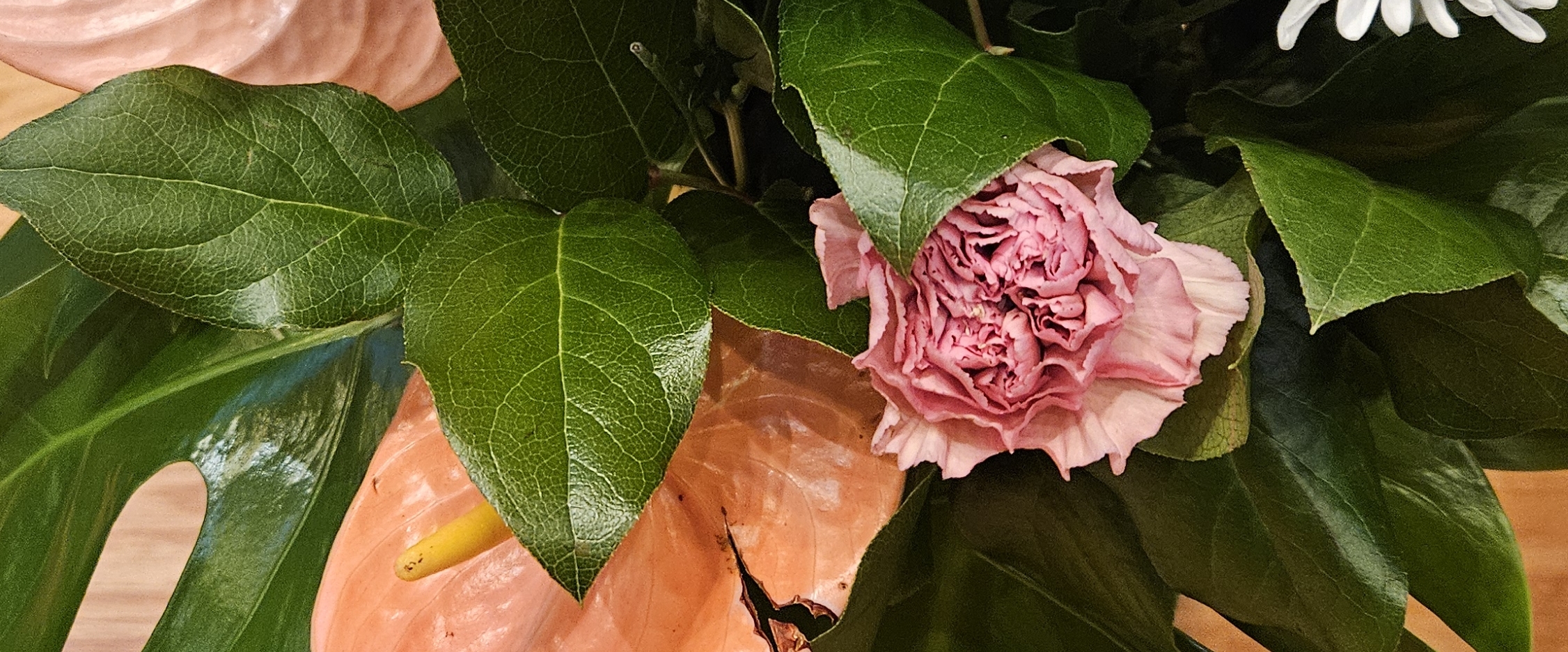 ☕️❤️INNOVATURE❤️☕️ banner